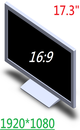 17.3 inch Wide Monitor